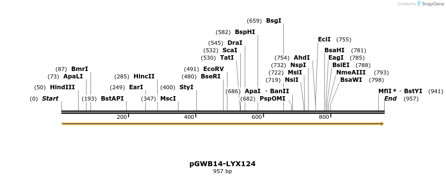 241616_map