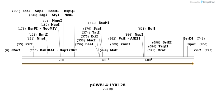 241620_map