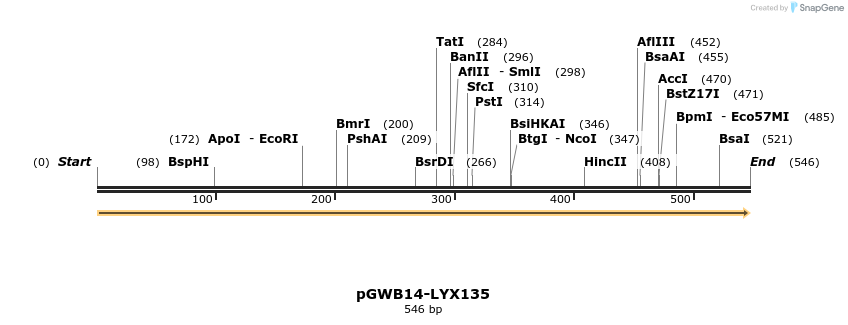 241627_map