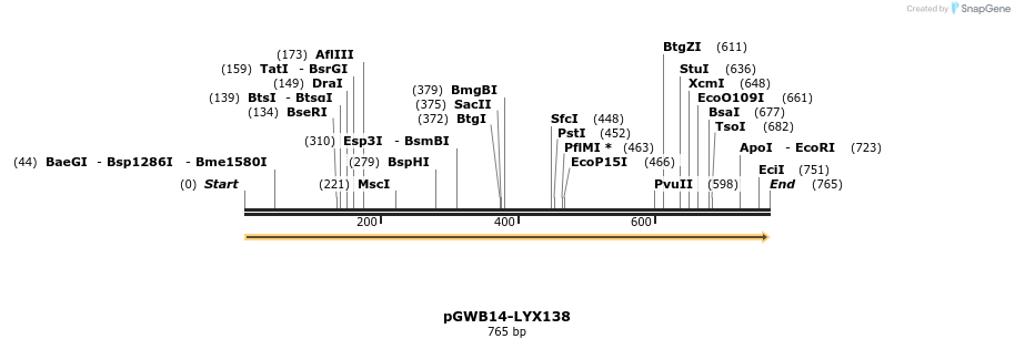 241630_map