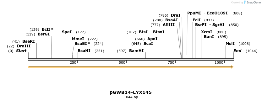 241637_map