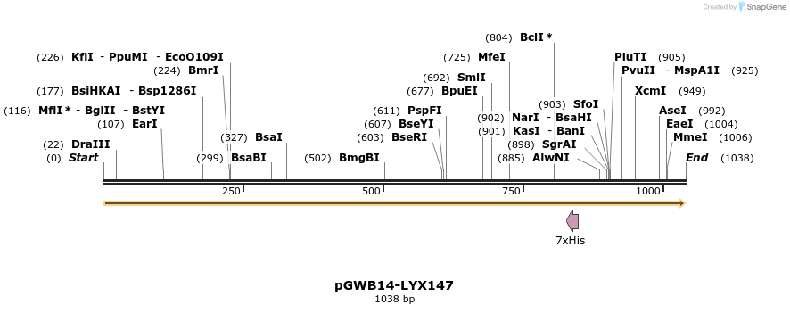 241639_map