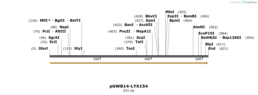 241646_map