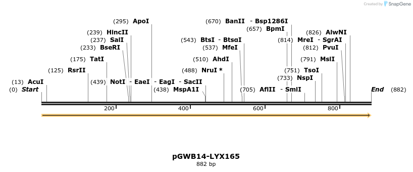 241657_map