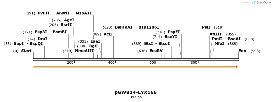 241658_map