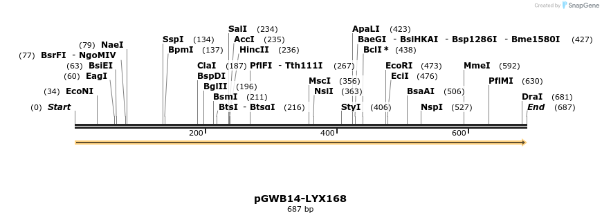 241660_map