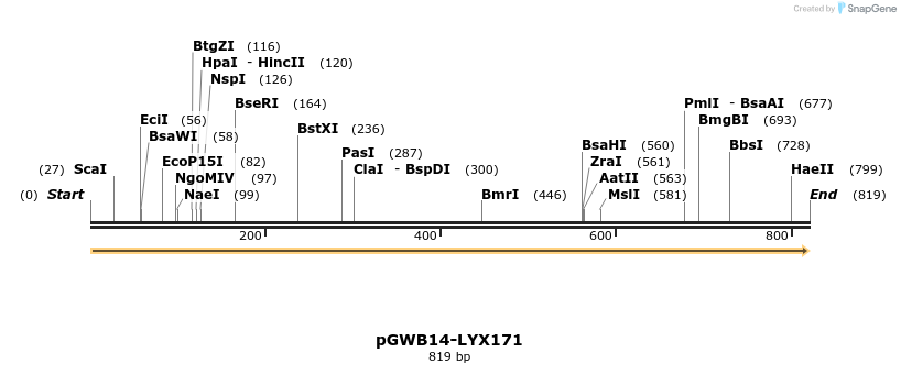241663_map