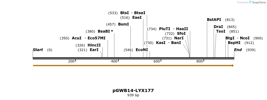241669_map