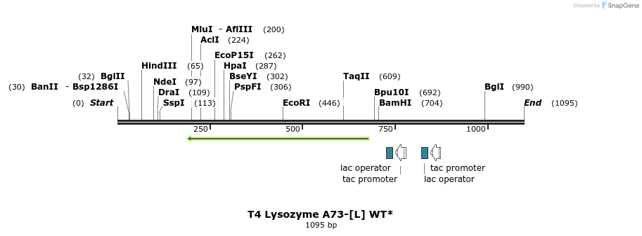 24167_map