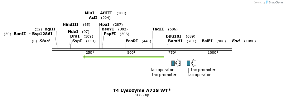 24168_map