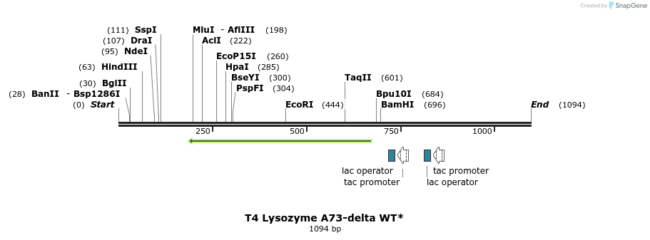 24169_map