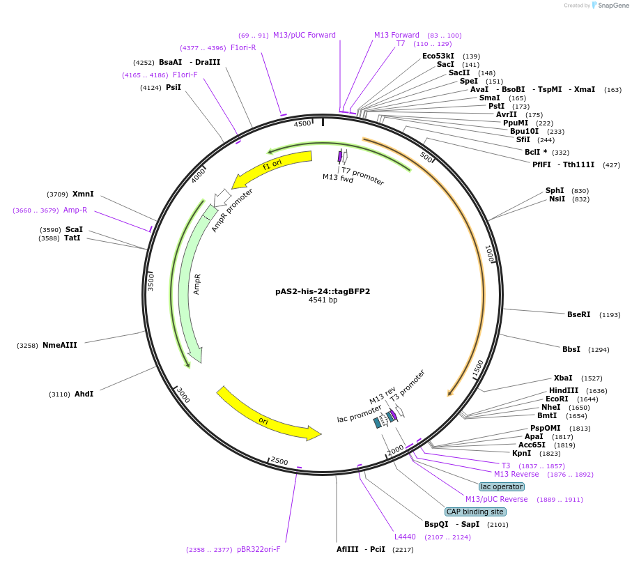 241690_map