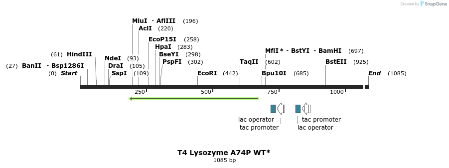 24170_map