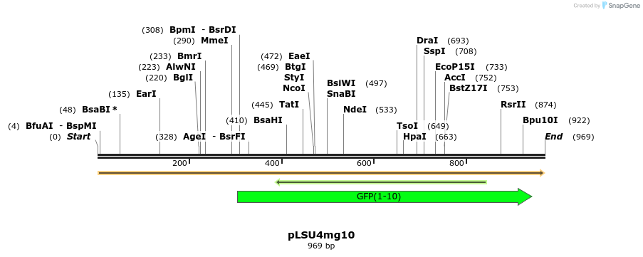 241702_map