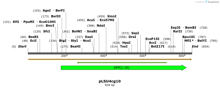 241703_map