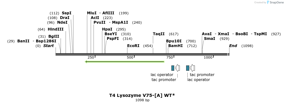 24171_map