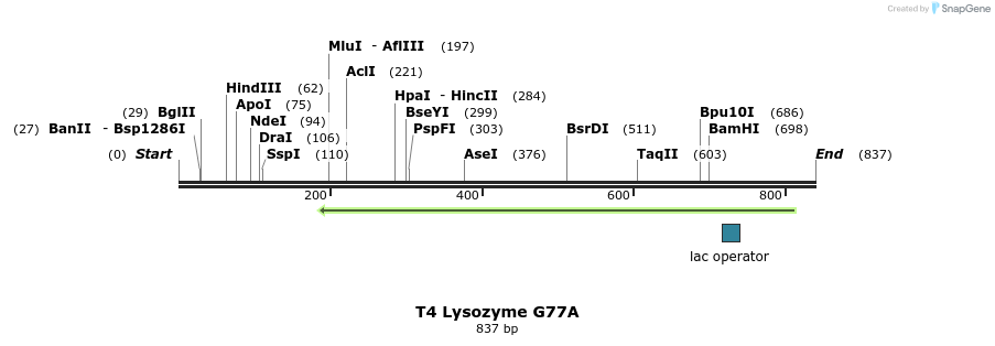 24173_map