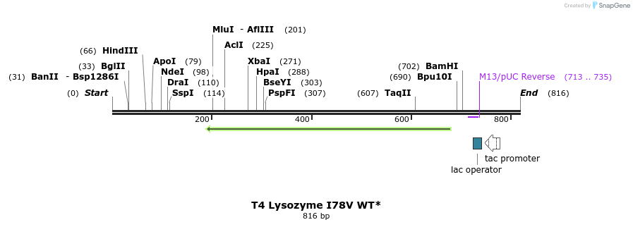 24176_map