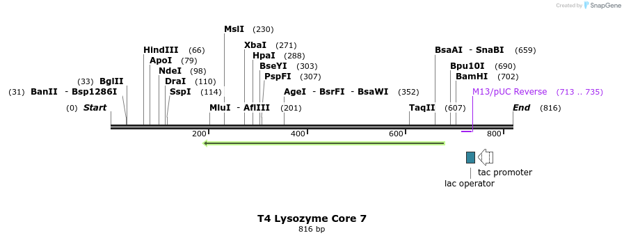 24177_map