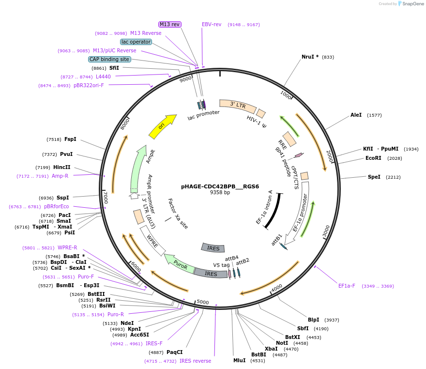 241774_map