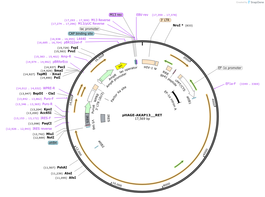 241777_map