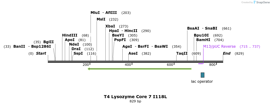 24178_map