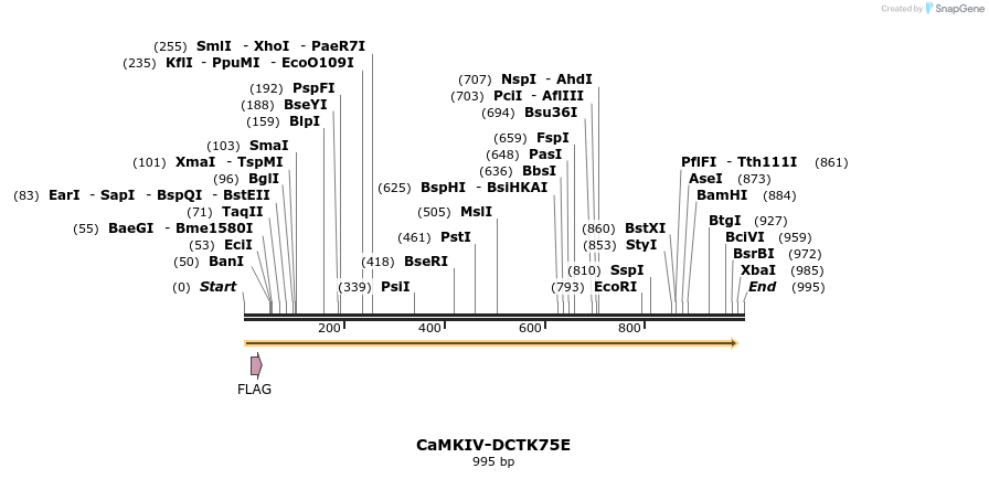 241785_map