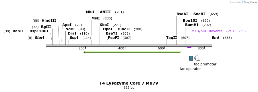 24179_map