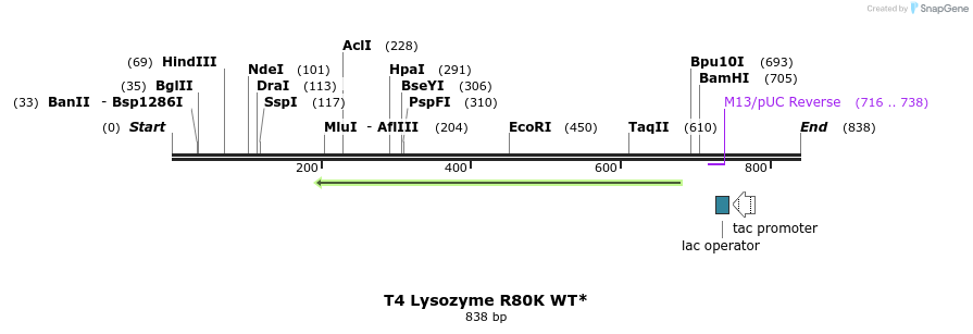 24180_map
