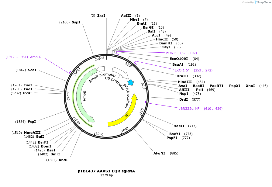 241811_map