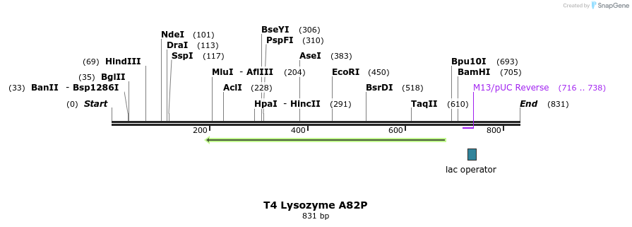 24182_map