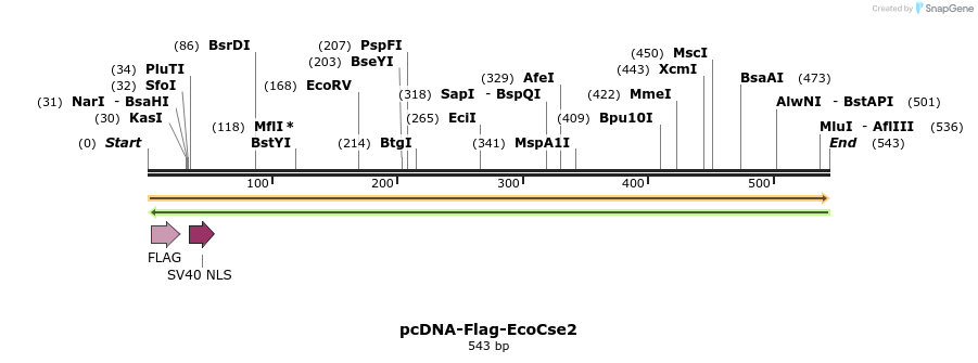 241843_map