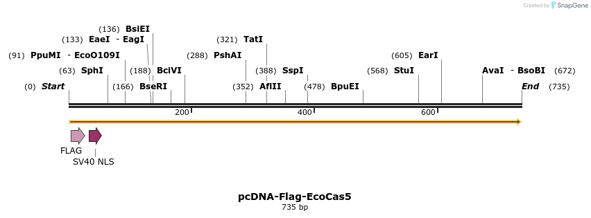 241847_map