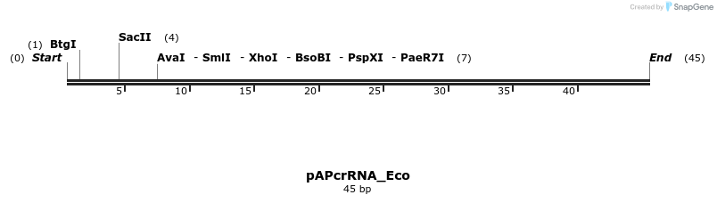241858_map