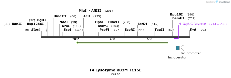 24186_map