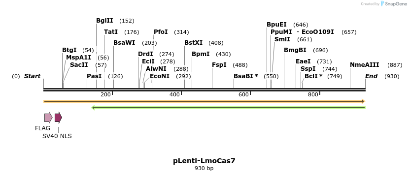 241881_map