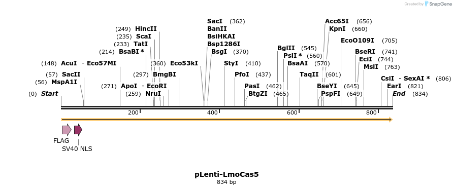 241884_map