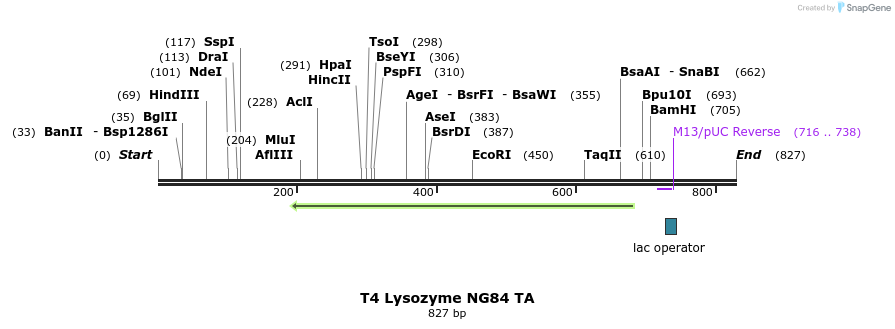 24189_map
