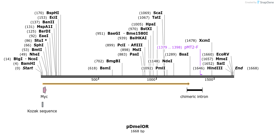 241901_map
