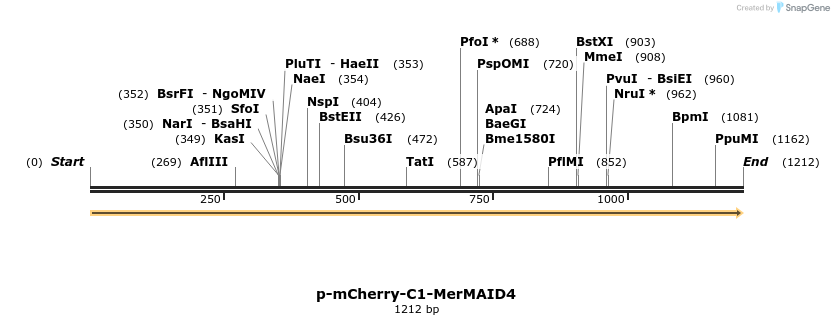 241946_map