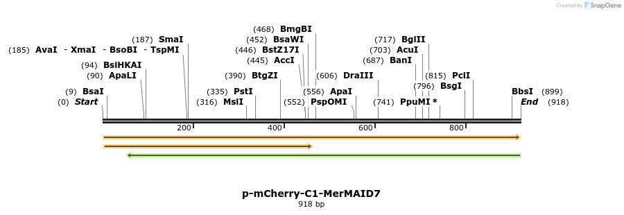 241949_map