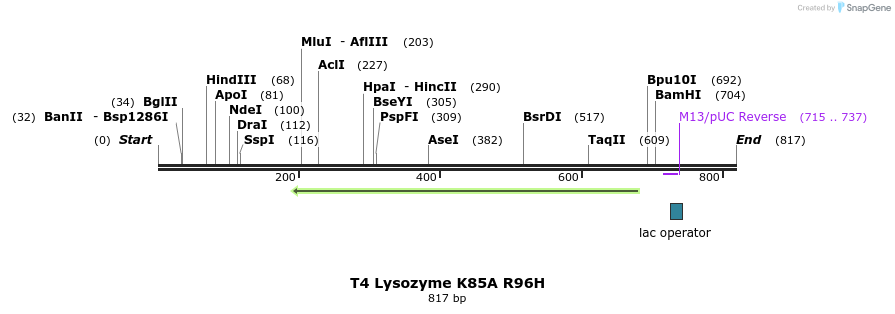 24197_map