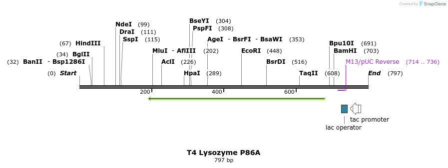 24198_map