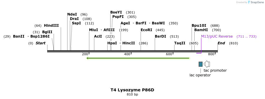 24200_map
