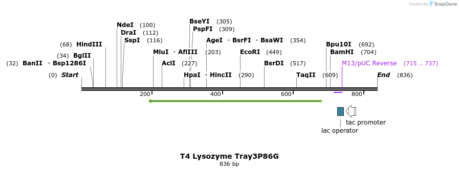 24201_map