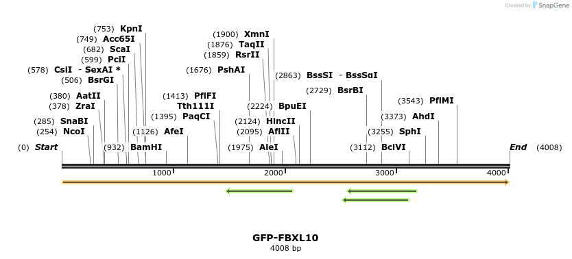 242013_map