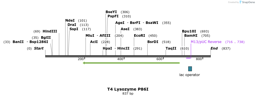 24202_map