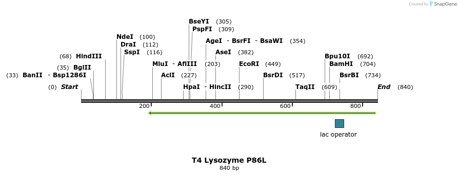 24203_map