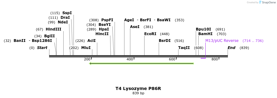 24204_map