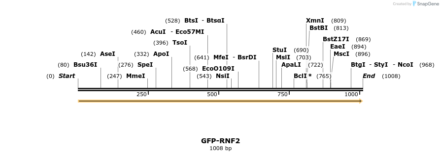 242046_map